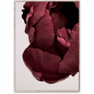Tablou multicolor cu rama din lemn Peonia 02 Paper Collective