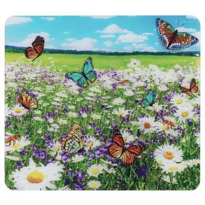 Placa protectie plita multicolora din sticla 50x56 cm Summer Wenko