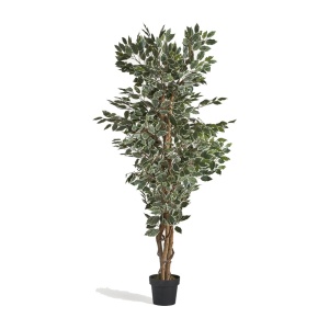 Planta artificiala cu ghiveci din fibre sintetice 180 cm Ficus Vical Home