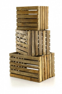 Set 3 cutii maro din lemn de pin reciclat Noldor Zago