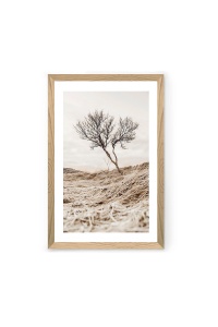Tablou multicolor 33x48 cm Tekhammdf134 The Home Collection