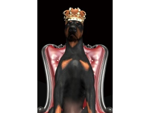 Tablou multicolor din sticla 80x120 cm Dog in Crown The Home Collection
