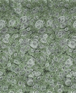 Tapet verde din hartie Marbling Rebel Walls