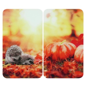 Set 2 placi protectie plita multicolore din sticla 30x52 cm Autumn Wenko