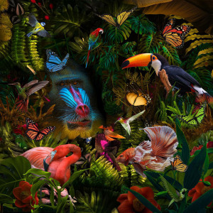 Tablou multicolor din sticla 80x80 cm Jungle Ter Halle