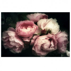 Tablou roz/negru din sticla 80x120 cm Flowers Signal Meble