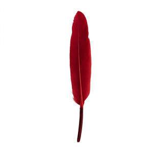 Decoratiune de perete rosu bordo din pana de gasca 15 cm Mahdi Madam Stoltz