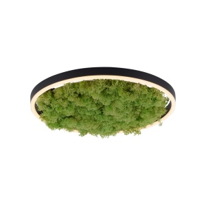 Plafoniera verde/neagra din metal Green Ritus Zuma Line