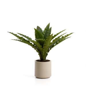 Planta artificiala cu ghiveci crem/verde din fibre sintetice 70 cm Neottopteris Kave Home