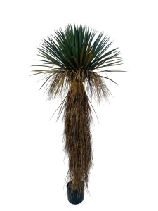 Planta artificiala cu ghiveci verde din fibre sintetice 180 cm Yucca Bizzotto