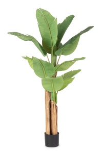 Planta artificiala cu ghiveci verde din plastic 150 cm Banana Bizzotto