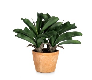 Planta artificiala verde/maro din fibre sintetice 43 cm Pineapple Bizzotto