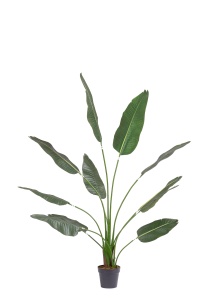 Planta artificiala verde/neagra din fibre sintetice 180 cm Strelitzia Bizzotto