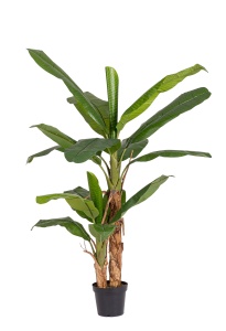 Planta artificiala verde/neagra din fibre sintetice 210 cm Banana Bizzotto