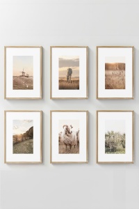 Set 6 tablouri multicolore din lemn Artavessastko77 The Home Collection