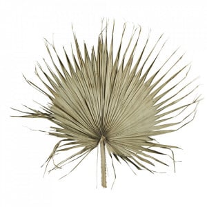 Decoratiune de perete maro din fibre naturale 80 cm Nile Madam Stoltz