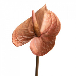 Floare artificiala maro din hartie 66 cm Alicia Lou De Castellane