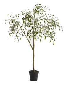 Planta artificiala cu ghiveci verde din fibre sintetice 180 cm Ficus Benjamina Kave Home