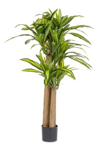 Planta artificiala cu ghiveci verde din plastic 150 cm Draceana Bizzotto