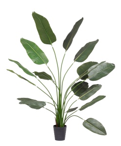 Planta artificiala verde/neagra din fibre sintetice 210 cm Strelitzia Bizzotto