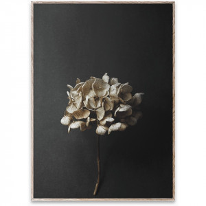 Tablou multicolor cu rama din lemn Still Life 04 (Hydrangea) Paper Collective