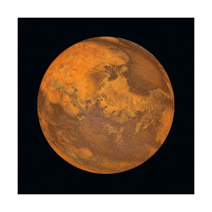 Tablou portocaliu/negru din sticla 80x80 cm Mars Signal Meble