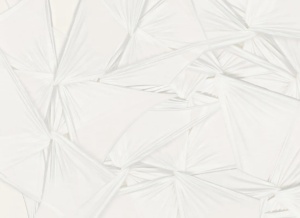 Tapet alb din hartie Silk Shadows Rebel Walls