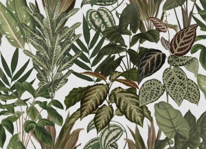 Tapet multicolor din hartie Mischievous Jungle Rebel Walls