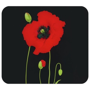 Placa protectie plita multicolora din sticla 50x56 cm Poppy Wenko