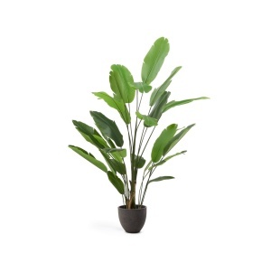 Planta artificiala cu ghiveci din ciment 210 cm Banana Kave Home