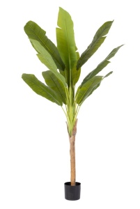 Planta artificiala cu ghiveci verde din fibre sintetice 210 cm Banana Bizzotto