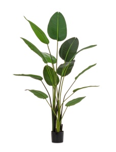 Planta artificiala cu ghiveci verde din plastic 185 cm Sterilizia Bizzotto