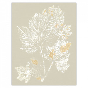 Poster multicolor din hartie 36x46 cm Maple Woood